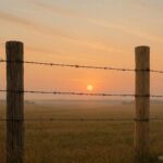 A repaired wooden fence symbolizing reconciliation between rural neighbors